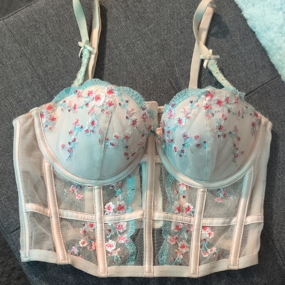 Windsor Other - Windsor Pastel Floral Lace Bustier